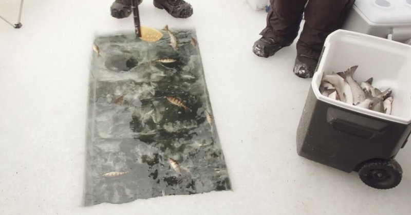 Ice fishing casino in Germany